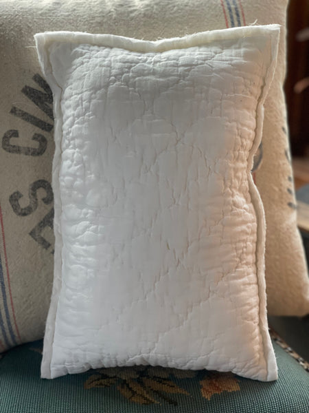 Pink Cone Flower Pillow